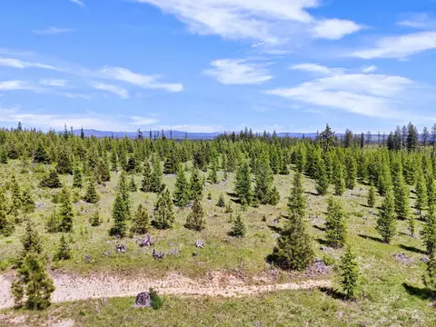 0 Timberline Heights Parcel D, Weippe, ID 83553 photo 14