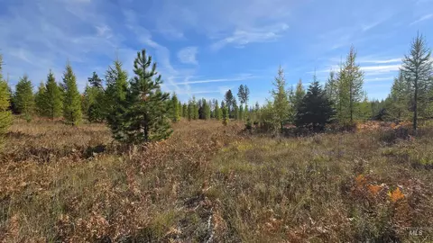 0 Timberline Heights Parcel D, Weippe, ID 83553 photo 11