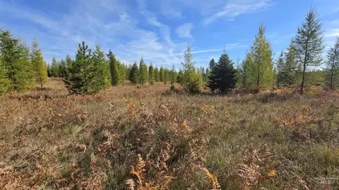 0 Timberline Heights Parcel D, Weippe, ID 83553 photo 10