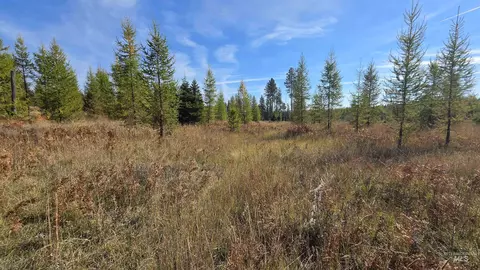 0 Timberline Heights Parcel D, Weippe, ID 83553 photo 13