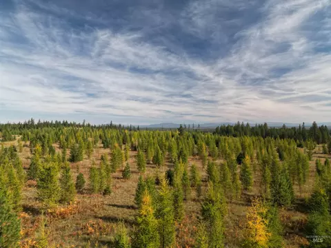 0 Timberline Heights Parcel D, Weippe, ID 83553 photo 4