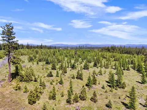 0 Timberline Heights Parcel D, Weippe, ID 83553 photo 5