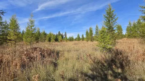 0 Timberline Heights Parcel D, Weippe, ID 83553 photo 12