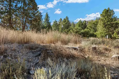 tbd N Pine-featherville Rd, Pine, ID 83647 photo 12