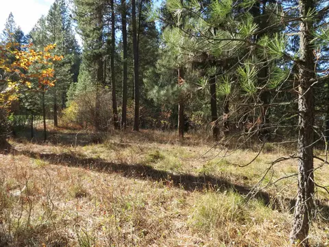 lot36 Spur Dr, Garden Valley, ID 83622