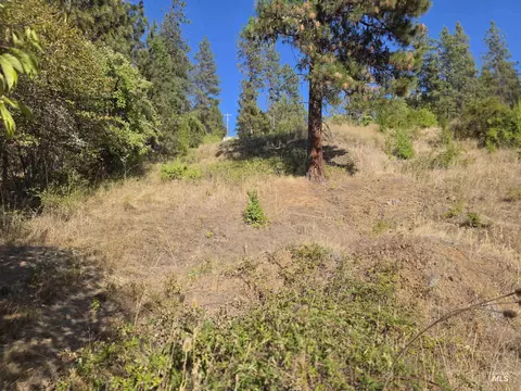 113 View Rd, Kamiah, ID 83536 photo 8
