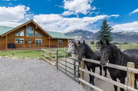 Other - 181 Crows Nest Loop Rd, Mackay, ID 83251 photo 7 of 28