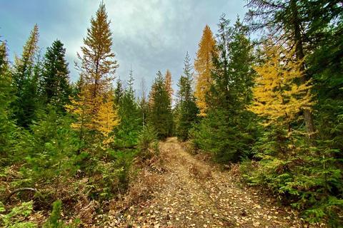 690 High Rd, Sandpoint, ID 83864 photo 1