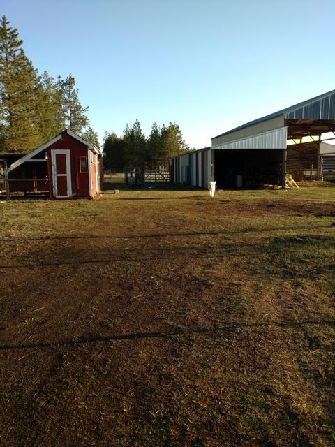 805 E Brunner Rd, Athol, ID 83801 photo 14
