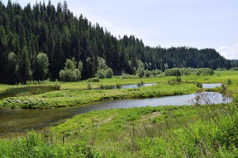 583 Parson Rd, Sandpoint, ID 83864 photo 11