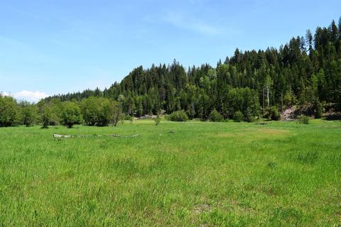 583 Parson Rd, Sandpoint, ID 83864 photo 18