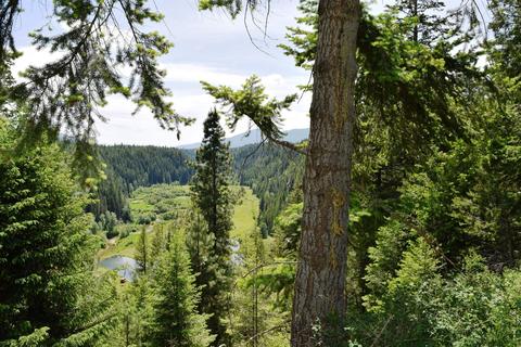 583 Parson Rd, Sandpoint, ID 83864 photo 25