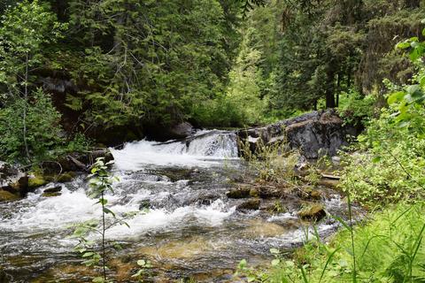 583 Parson Rd, Sandpoint, ID 83864 photo 7