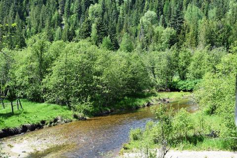 583 Parson Rd, Sandpoint, ID 83864 photo 15