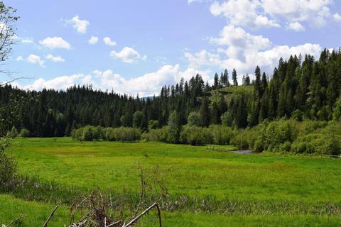 583 Parson Rd, Sandpoint, ID 83864 photo 12