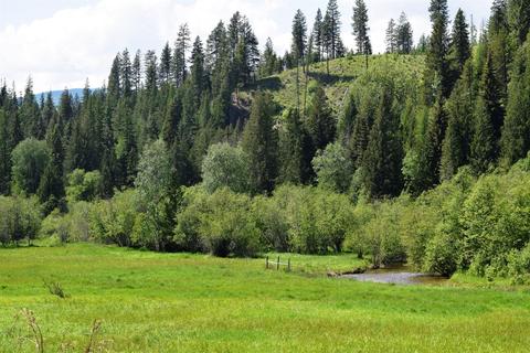 583 Parson Rd, Sandpoint, ID 83864 photo 17
