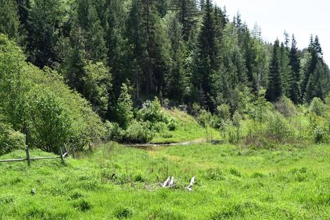 583 Parson Rd, Sandpoint, ID 83864 photo 13