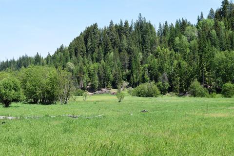583 Parson Rd, Sandpoint, ID 83864 photo 16