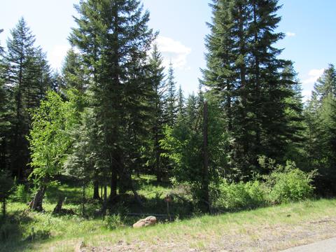 6859 S Buckrail Rd, Harrison, ID 83833 photo 1