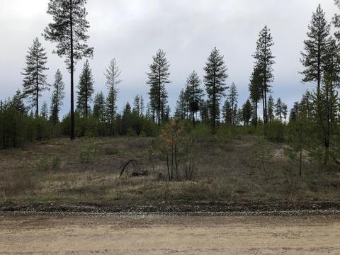 31 Muzzleloader Ct, Blanchard, ID 83804 photo 3