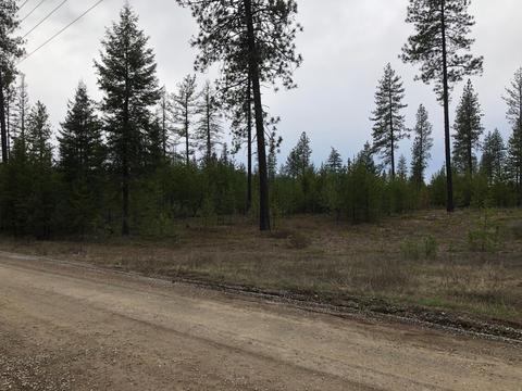 31 Muzzleloader Ct, Blanchard, ID 83804 photo 4