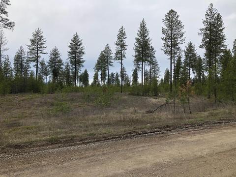 31 Muzzleloader Ct, Blanchard, ID 83804 photo 5