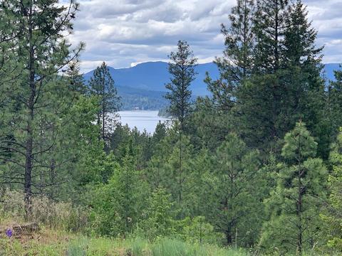 5855 S Grainger Ct, Harrison, ID 83833 photo 1