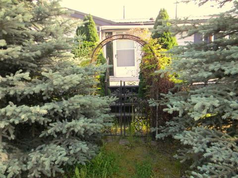 20 1st St, Calder, ID 83808 photo 23