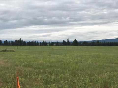 8828 N Cloverleaf Rd, Hauser, ID 83854 photo 6