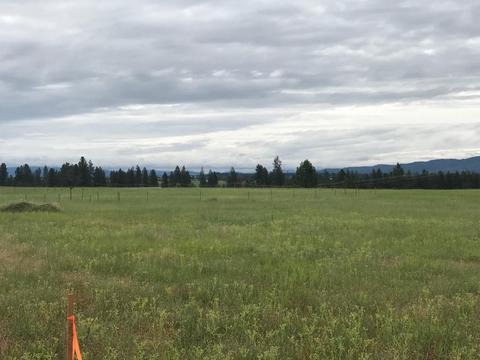 8828 N Cloverleaf Rd, Hauser, ID 83854 photo 1