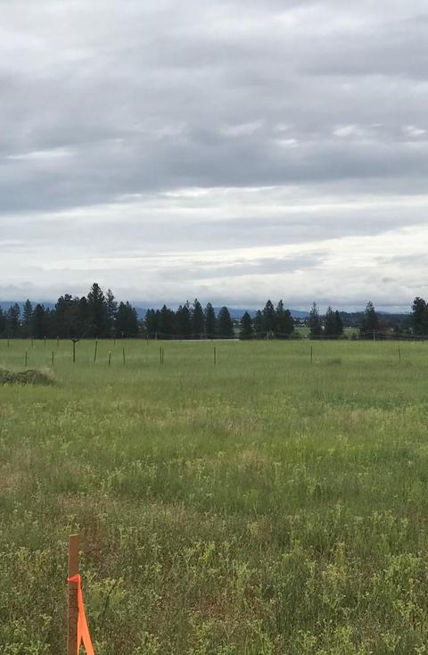 8828 N Cloverleaf Rd, Hauser, ID 83854 photo 7