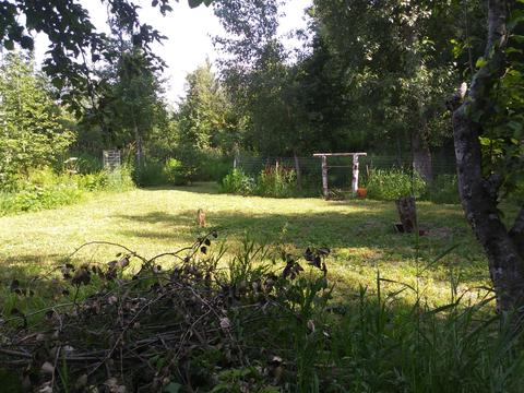 201 Scott Ln, Sandpoint, ID 83864 photo 28