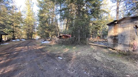 7184 E Bunco Rd, Athol, ID 83801 photo 3