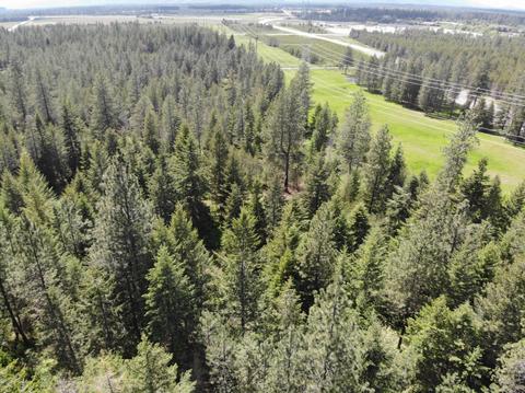 7184 E Bunco Rd, Athol, ID 83801 photo 36