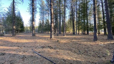 7184 E Bunco Rd, Athol, ID 83801 photo 10