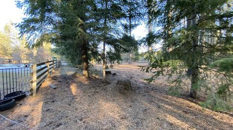 7184 E Bunco Rd, Athol, ID 83801 photo 8