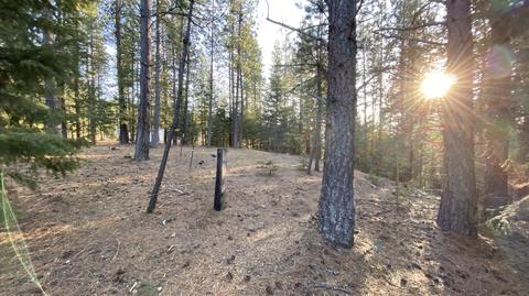 7184 E Bunco Rd, Athol, ID 83801 photo 7