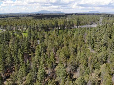 7184 E Bunco Rd, Athol, ID 83801 photo 35