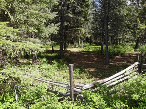 7184 E Bunco Rd, Athol, ID 83801 photo 49