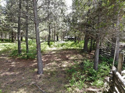 7184 E Bunco Rd, Athol, ID 83801 photo 50