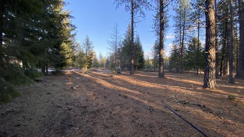 7184 E Bunco Rd, Athol, ID 83801 photo 9