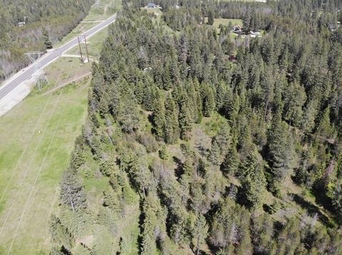7184 E Bunco Rd, Athol, ID 83801 photo 26