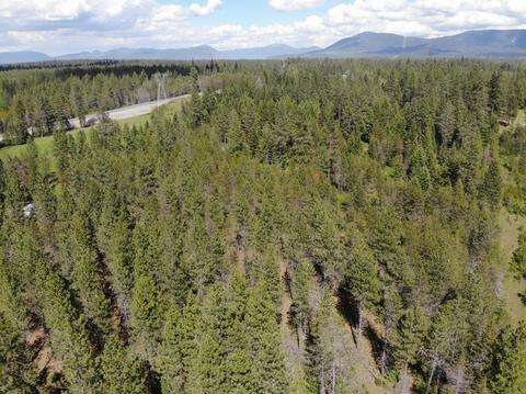 7184 E Bunco Rd, Athol, ID 83801 photo 34