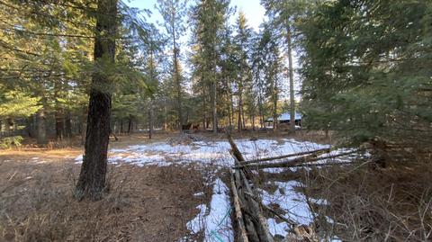 7184 E Bunco Rd, Athol, ID 83801 photo 6