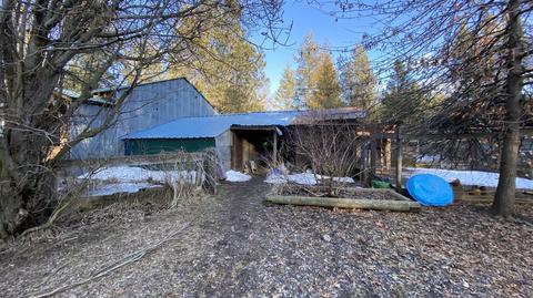 7184 E Bunco Rd, Athol, ID 83801 photo 11