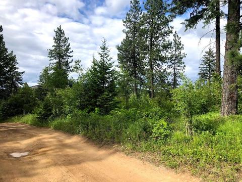 44 Horseshoe Ln, Plummer, ID 83851 photo 1