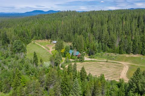 16301 E Bunco Rd, Athol, ID 83801 photo 6