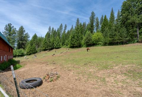 16301 E Bunco Rd, Athol, ID 83801 photo 29