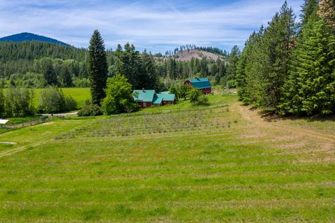 16301 E Bunco Rd, Athol, ID 83801 photo 4