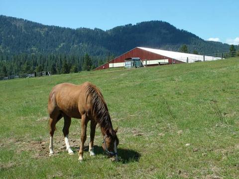 280 Tower Rd, Cocolalla, ID 83813 photo 63